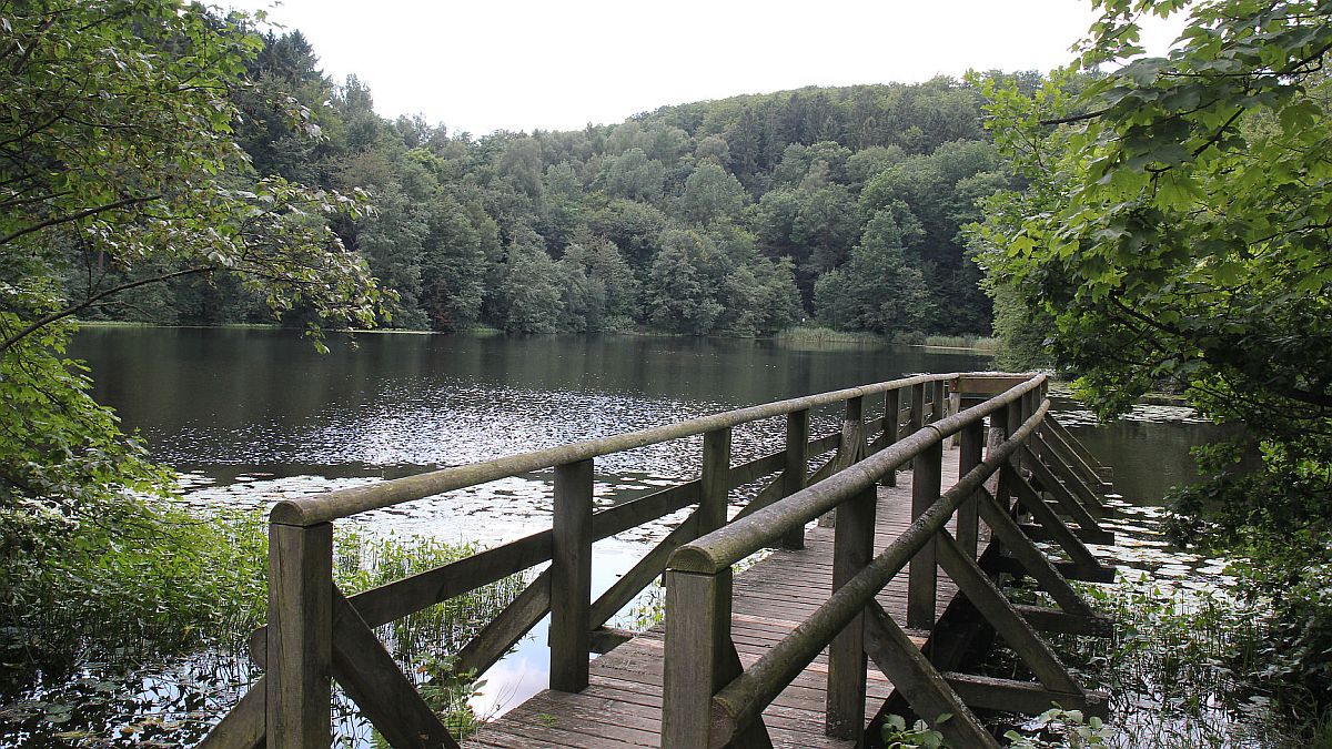 Qigong am Bergsee Delliehausen