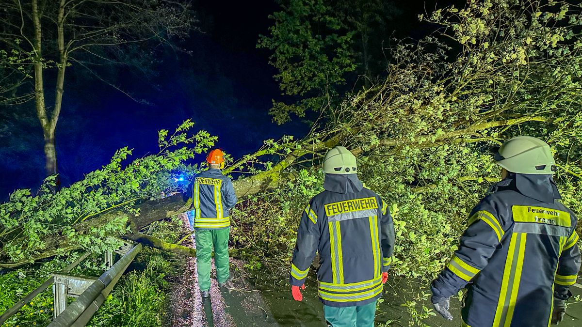 Baum stürzt auf Straße