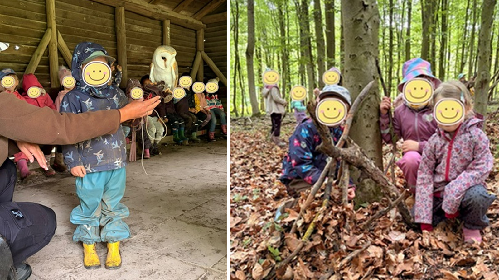 Kita „Deinerlinde“ erlebt drei Waldtage an der Hube mit Naturkunst, Wanderung und Greifvögeln