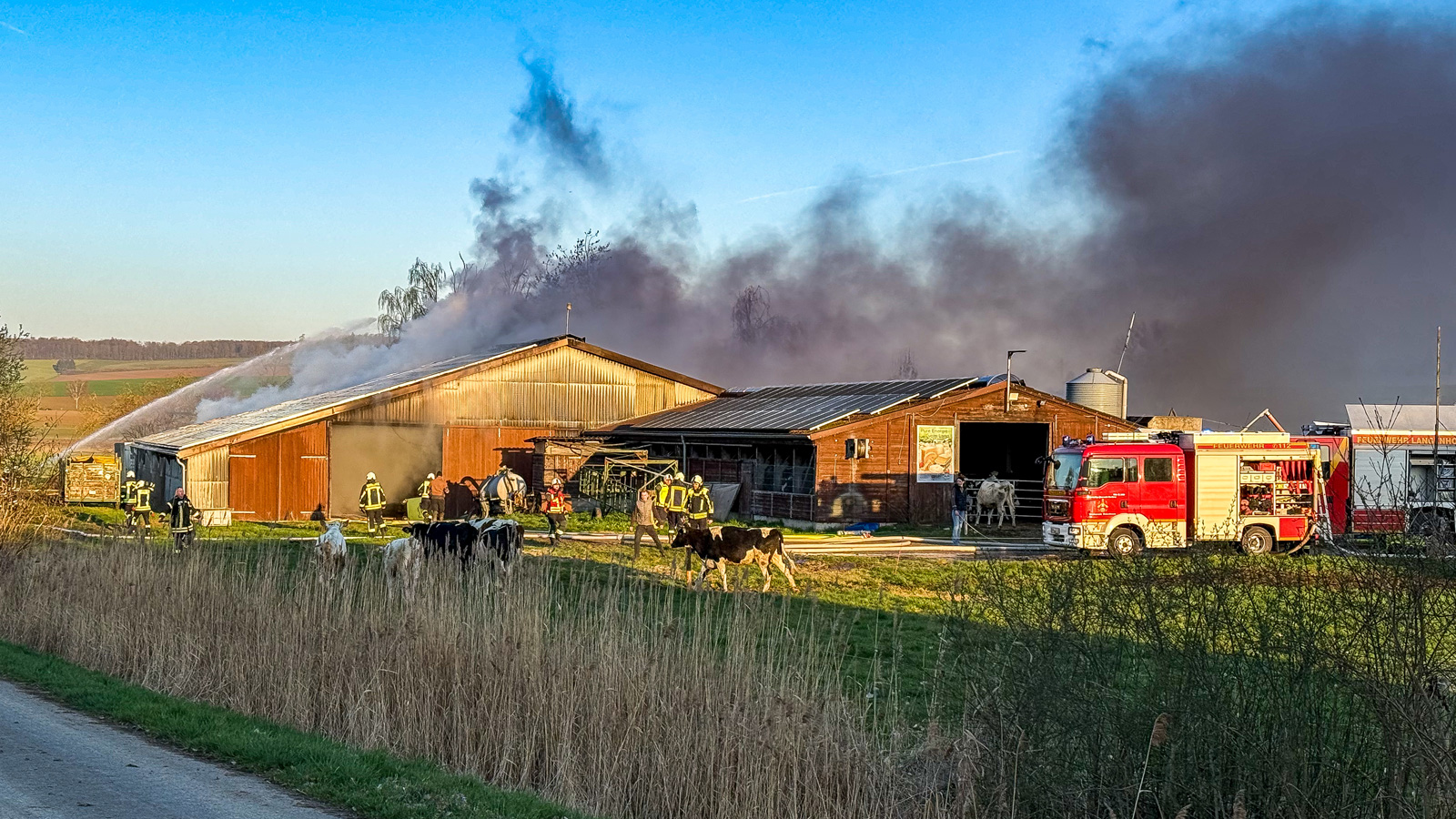 Großeinsatz in Lagershausen: Scheunenbrand mit rund 100 Kräften – 200 Kühe gerettet