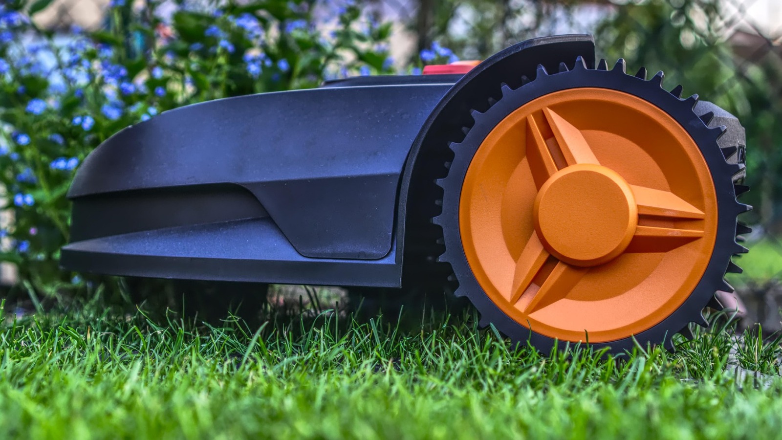 Untere Naturschutzbehörde informiert: Nachtfahrverbot für Mähroboter im Landkreis Northeim