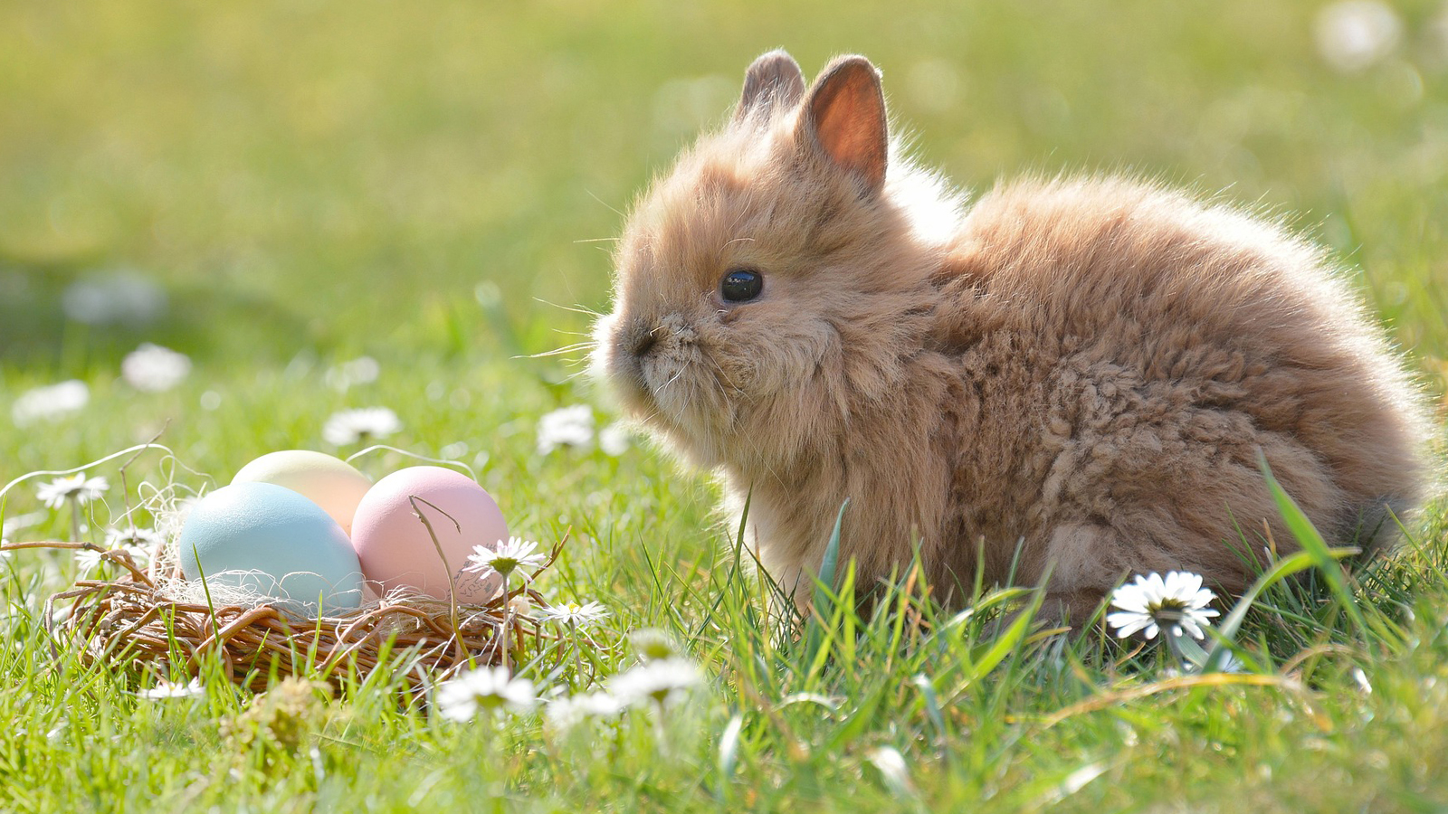 Kreative Osteraktion im Einbecker Kinder- und Familienbüro: Briefe an den Osterhasen gestalten